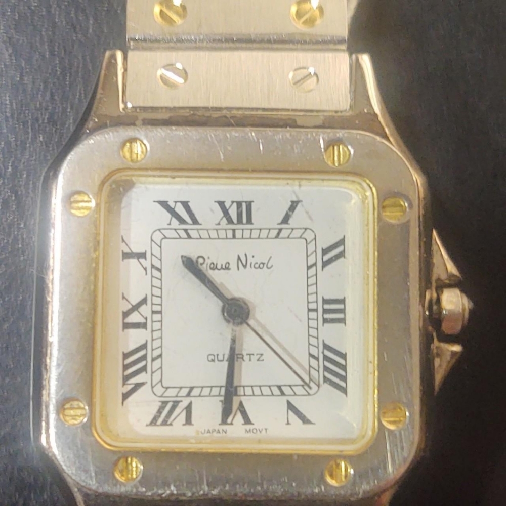 Piere Nicol men's watch